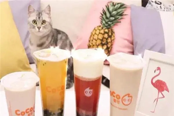 全面解析coco奶茶加盟的门店运营要点 全面解析coco奶茶加盟的门店运营要点